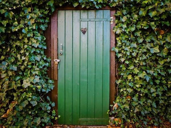 green door_ivy_pexels-pixabay-277552-1